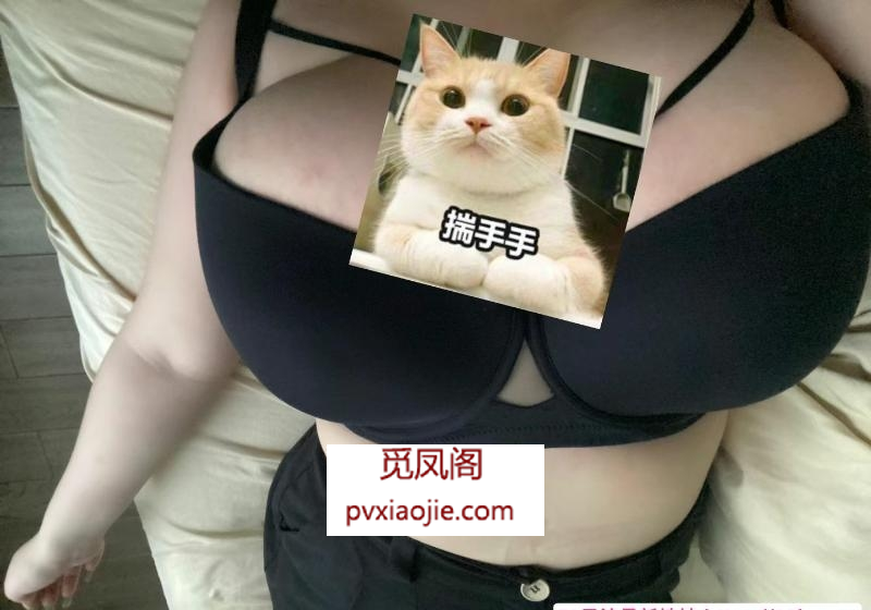 奉贤巨乳妹子体验