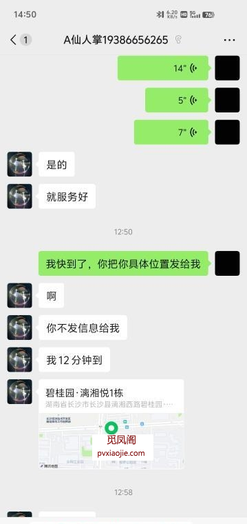 长沙县半套仙人掌